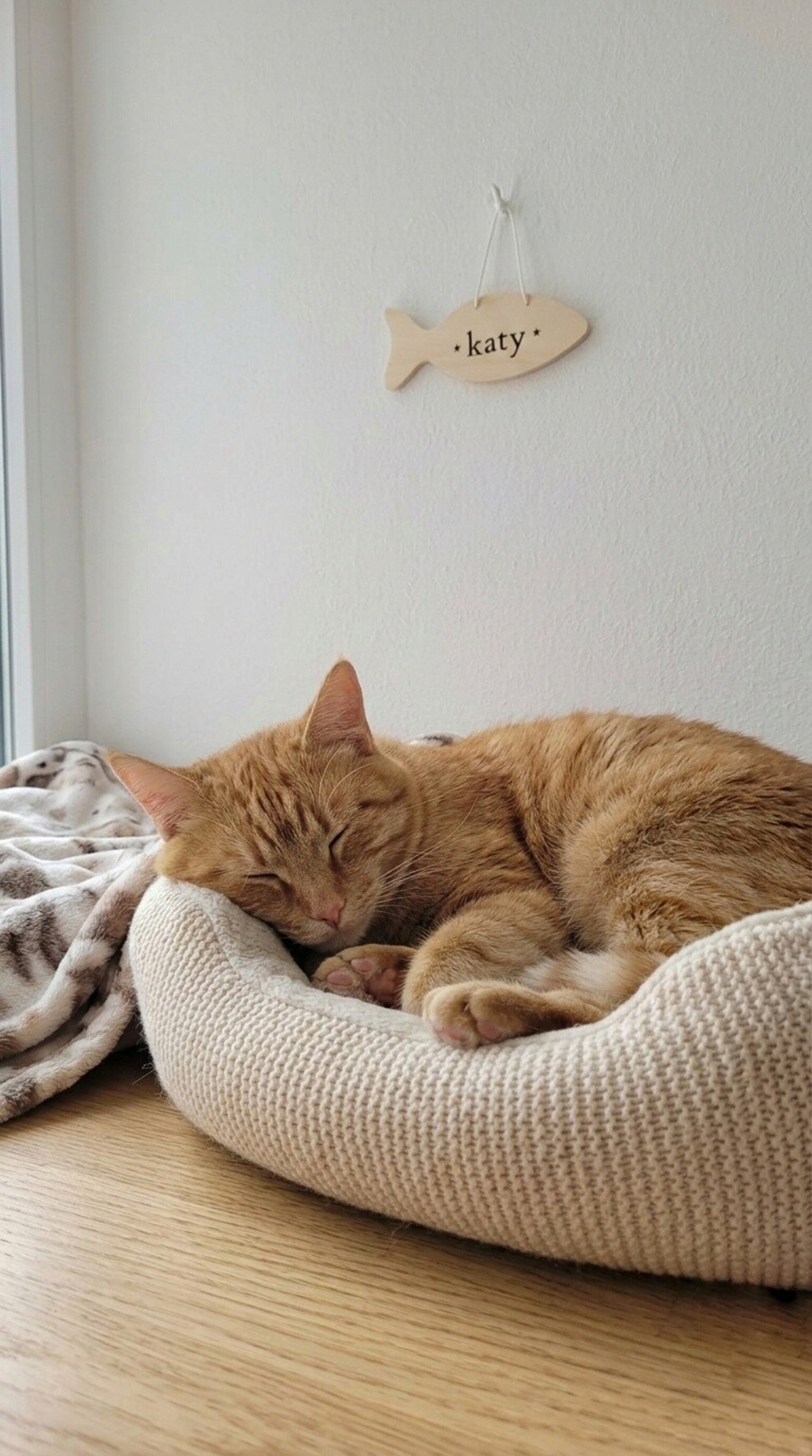 Cartel de madera Personalizado para Gato - forma de Pez - 1